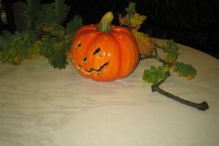 IMG_2983-01