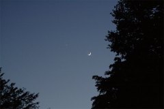 IMG_0130-01