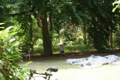 k800_img_1_44b5bd371b