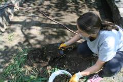 k800_img_1_e84bfa3458