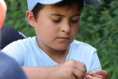 k1600_img__8a72102fe6