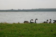 IMGP1940