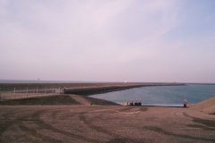 IMGP2247