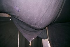 IMGP2310