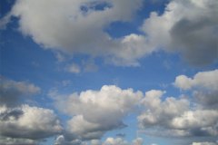 IMG_3211-01