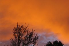 IMG_3294-01
