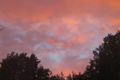 IMG_3301-01