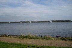 IMG_3351-01