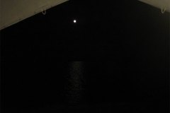IMG_3385-01