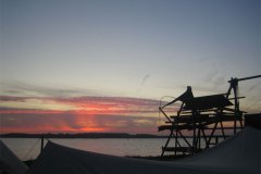 IMG_3437-01