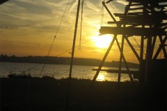 IMG_3452-01