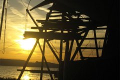 IMG_3453-01