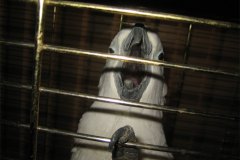 IMG_3486-01