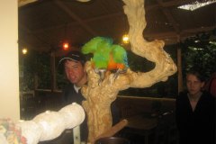 IMG_3487-01