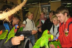 IMG_3492-01