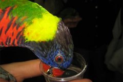 IMG_3493-01