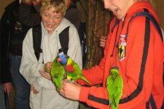 IMG_3496-01