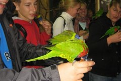 IMG_3497-01