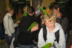 IMG_3499-01