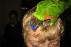 IMG_3503-01