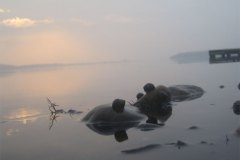 IMG_3617-01