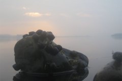 IMG_3618-01