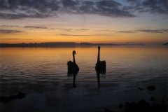 IMG_3692-01