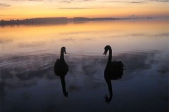 IMG_3700-01