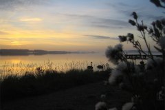 IMG_3713-01
