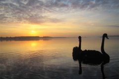 IMG_3720-01