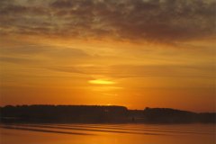 IMG_3722-01