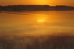 IMG_3723-01
