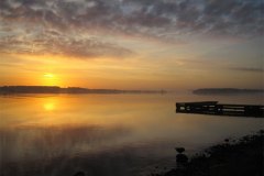 IMG_3724-01