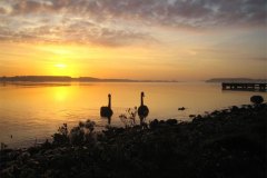 IMG_3728-01