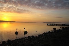 IMG_3729-01