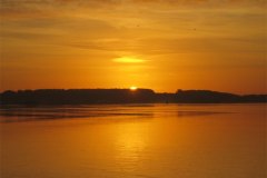 IMG_3733-01