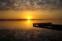 IMG_3742-01