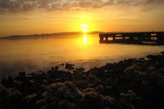 IMG_3743-01