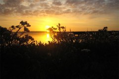 IMG_3744-01
