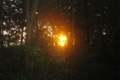 IMG_3746-01