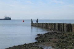 IMG_3806-01