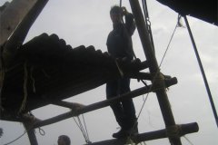IMG_3906-01