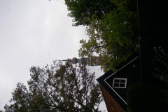 IMGP3048
