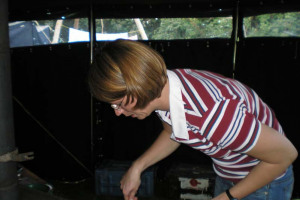Fett-Grün 2008