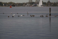 IMG_1715
