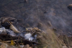 IMG_1858