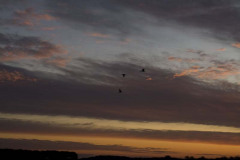 IMG_1862