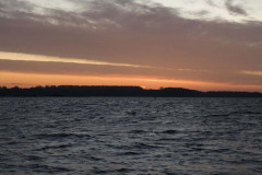 IMG_1868