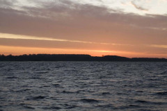 IMG_1875