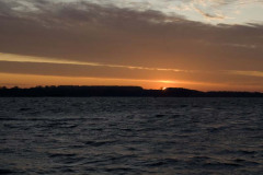 IMG_1880